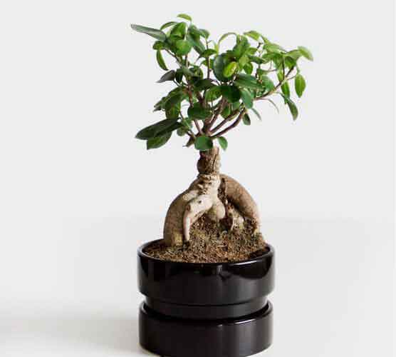 哪里买最靠谱的DDOS在线攻击平台